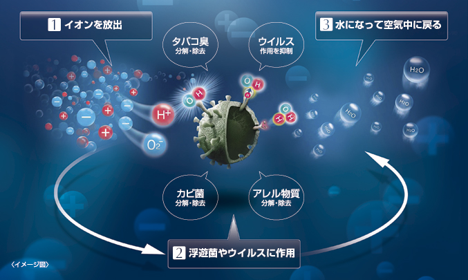 クラスター ウイルス プラズマ